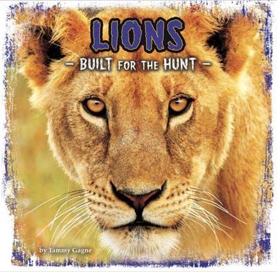 Lions: Built for the Hunt