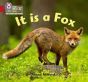 It is a Fox