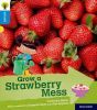 Grow a Strawberry Mess
