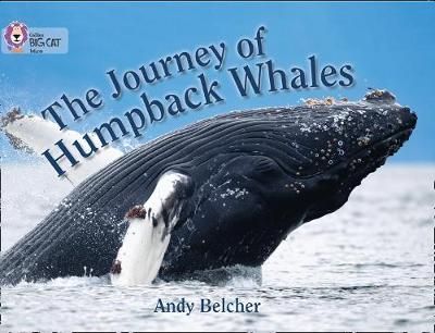 The Journey of Humpback Whales