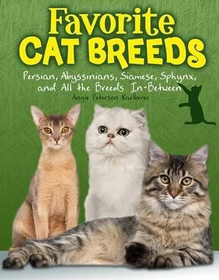 Favourite Cat Breeds: Persians, Abyssinians, Siamese, Sphynx, and all the Breeds In-Between