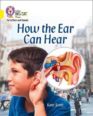 How the Ear Can Hear