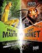 Praying Mantis vs Giant Hornet: Battle of the Powerful Predators