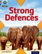 Strong Defences